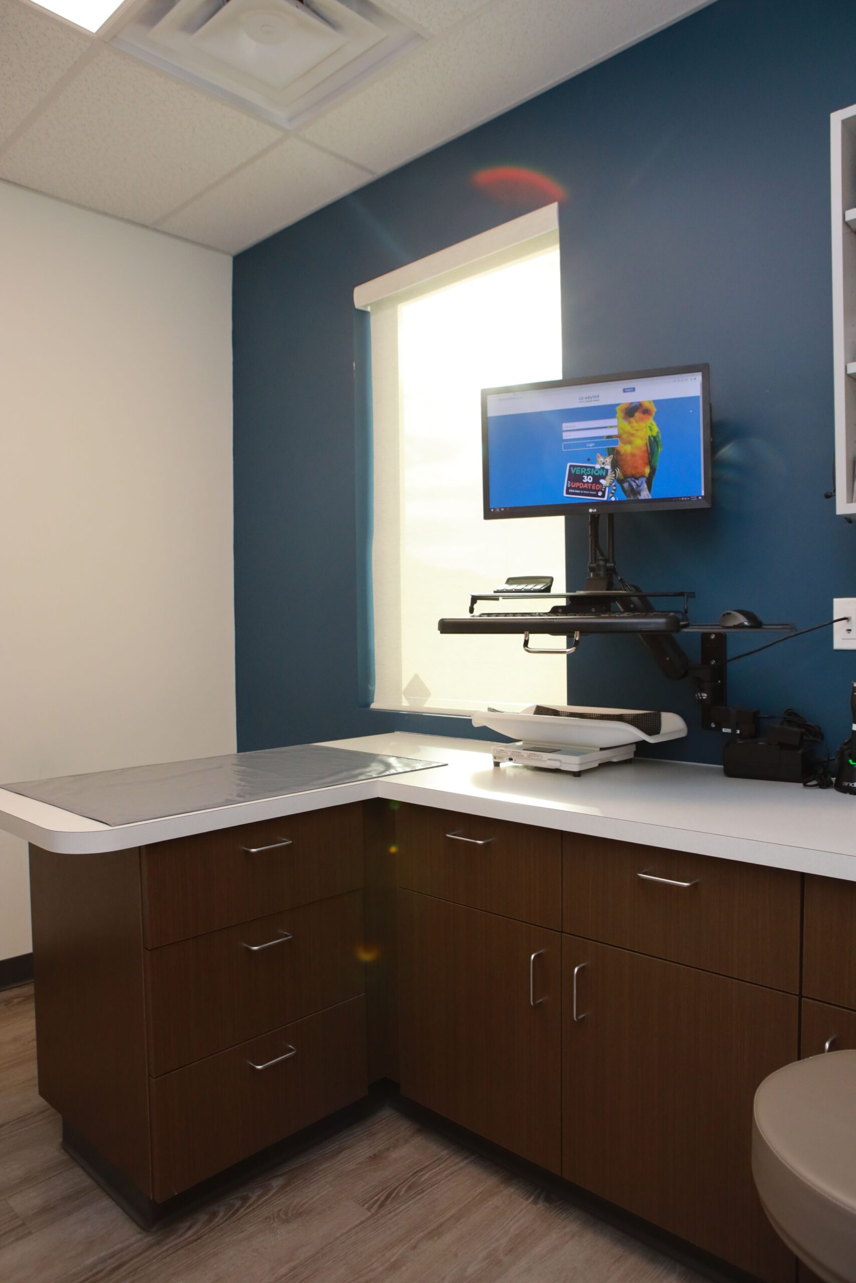 Vet Clinic room