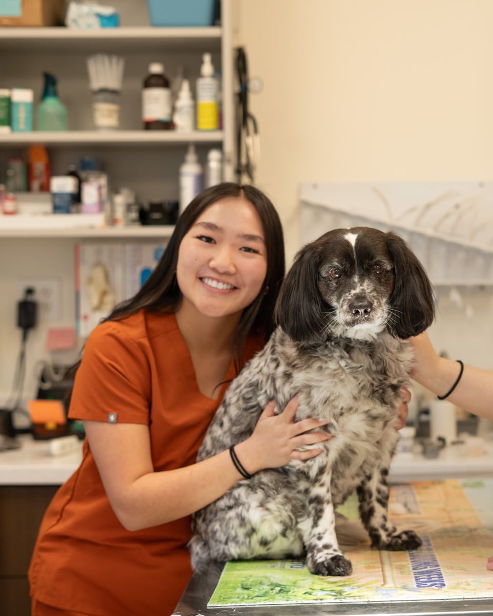 Smiling vet in orange scrubs with a black and white dog
