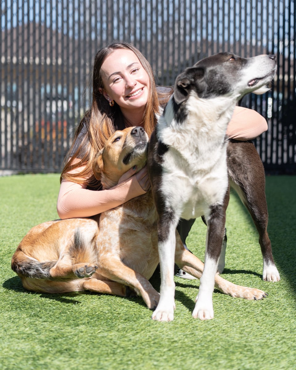 smiles while hugging two dogs on a sunny day