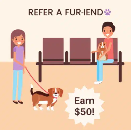50 off Refer a fur-iend graphics